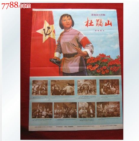 哪里能办昆士兰州驾驶证